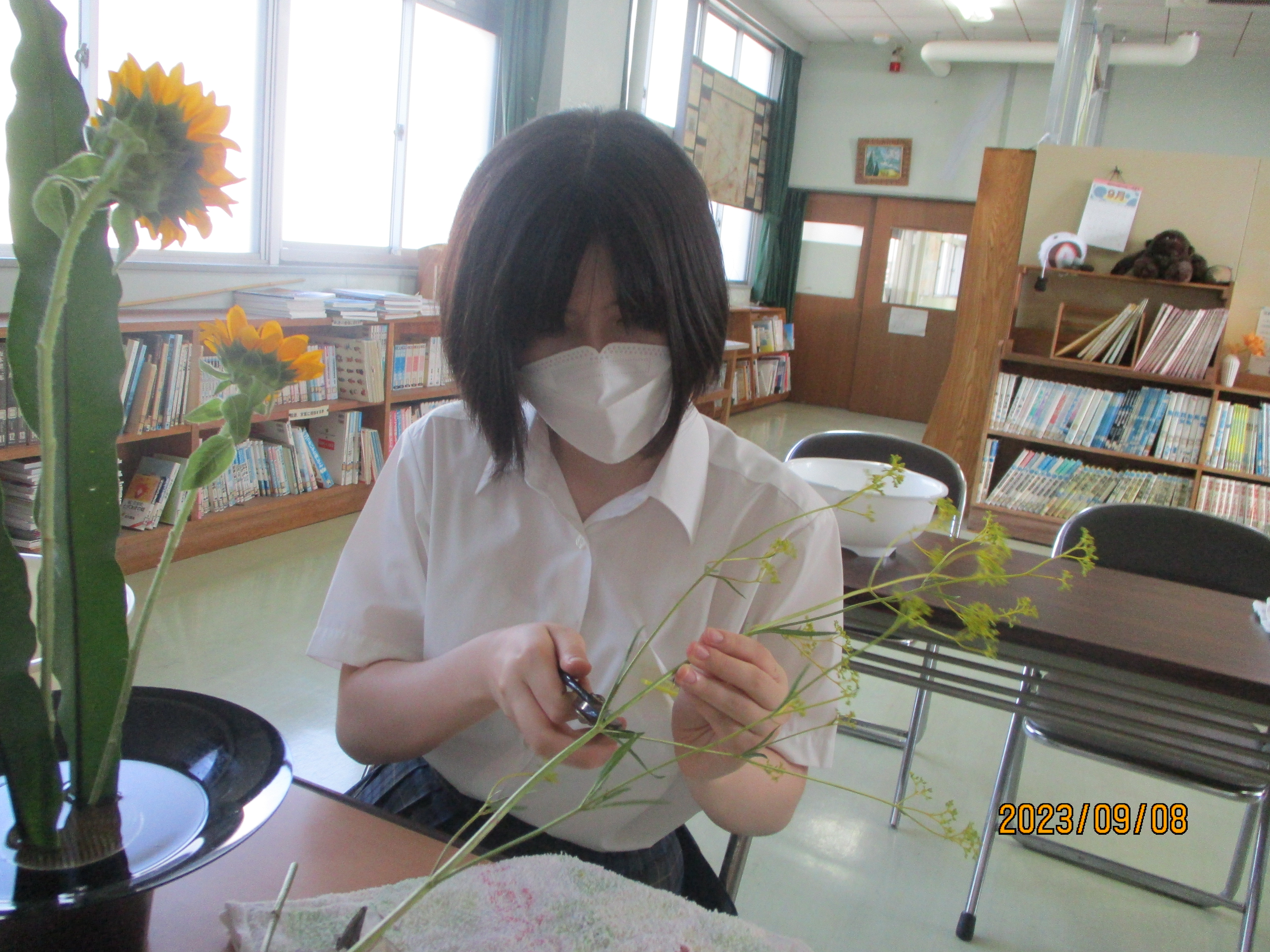 ⑤
