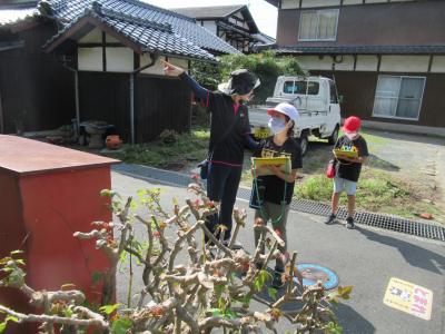 また見つけた また見つけた