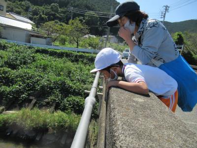 橋の上から