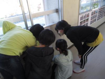 宿泊学習の写真 宿泊学習の写真