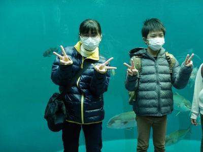 四国水族館① 四国水族館①