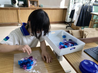 ぶどうづくり_8618